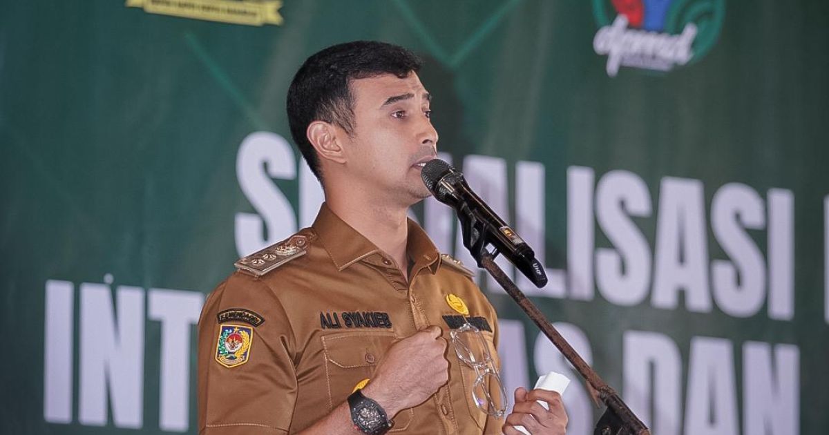 Wakil Bupati Bandung Ali Syakieb.