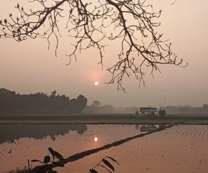 Tinggal Kenangan Kampung Cilokotot Margahayu  Terkenal dengan Produksi Batu Bata  BM