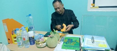 Hidroponik Budi Daya Melon Fujisawa BUMDes Marsela Mahardika Mulai Bahkan Hasil