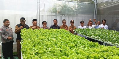 Green House Hidroponik ‘Sahabat Cahaya Farm’ Unit Ketahanan Pangan BUMDes Marsela Mahardika Hari Ini Diresmikan