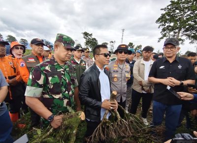 Bupati Bandung Minta Penebangan Liar di Pengalengan Diproses Hukum